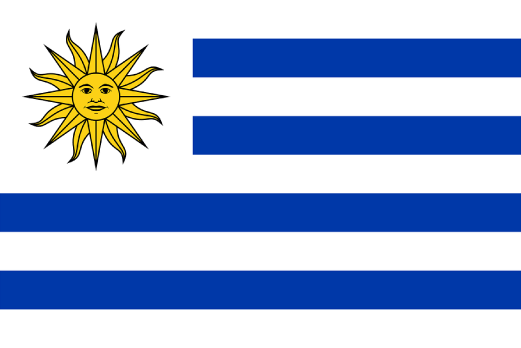Curso Regum Uruguay