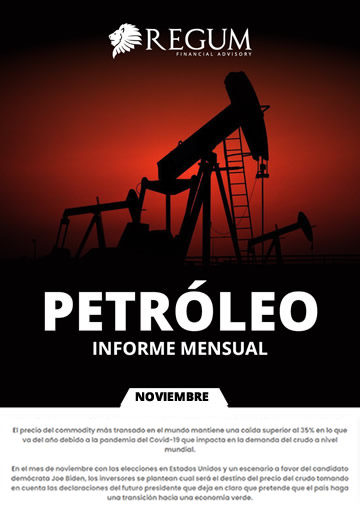Petróleo informe mensual noviembre