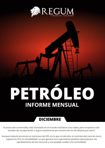 Petróleo informe mensual diciembre