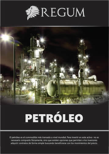 Reporte Petroleo Junio 2017