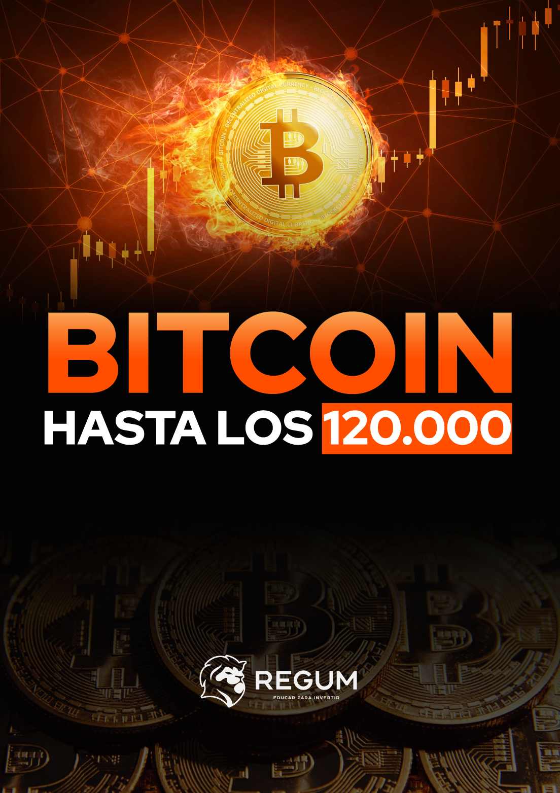 Informe BITCOIN 2024