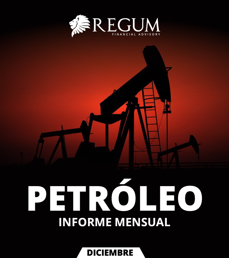 Petróleo - Informe mensual diciembre